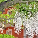 ホテル Cavour 30Tre - Moderno Per Tradizione