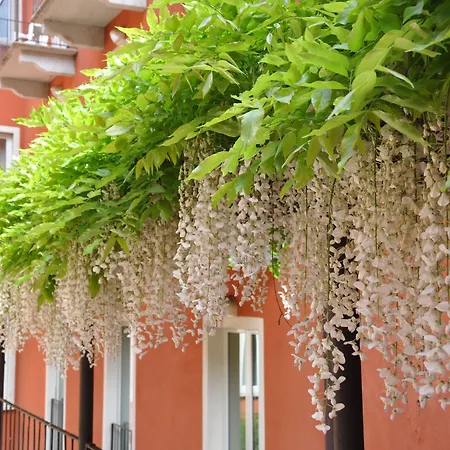 Otel Cavour 30tre - Moderno Stresa